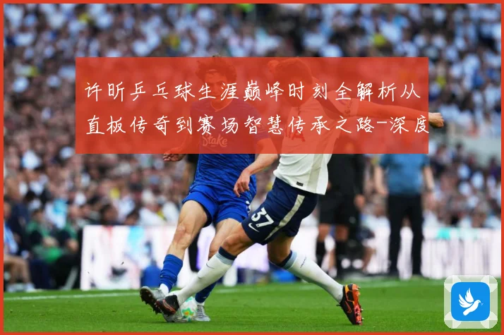 许昕乒乓球生涯巅峰时刻全解析从直板传奇到赛场智慧传承之路-深度解析